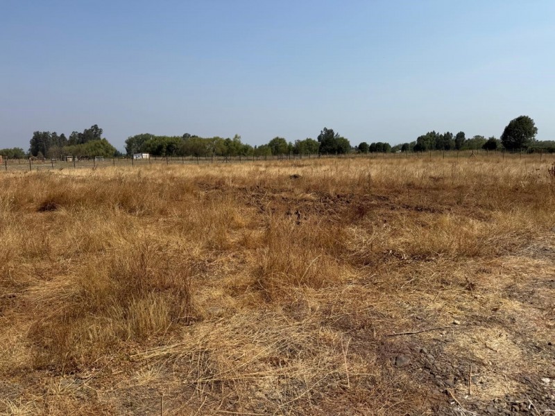 Se Vende Parcela de 5.000 M2 en la Comuna de San Rafael