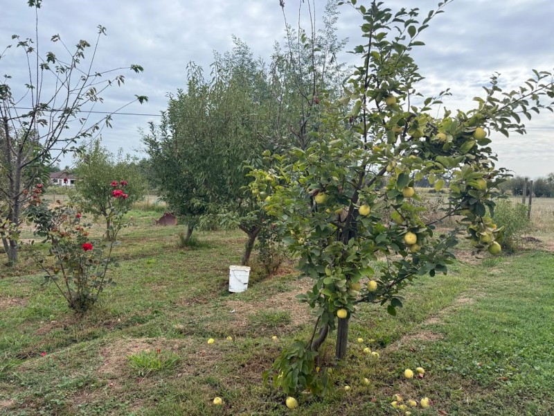 Se Vende Parcela 7.430 M2 Con Casa en Pelarco