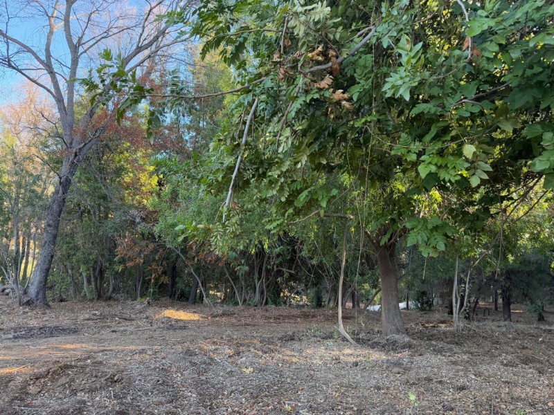 Se Vende Parcela de 5.000 M2 en Vilches Alto