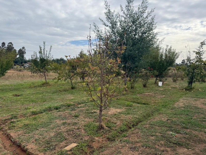Se Vende Parcela 7.430 M2 Con Casa en Pelarco