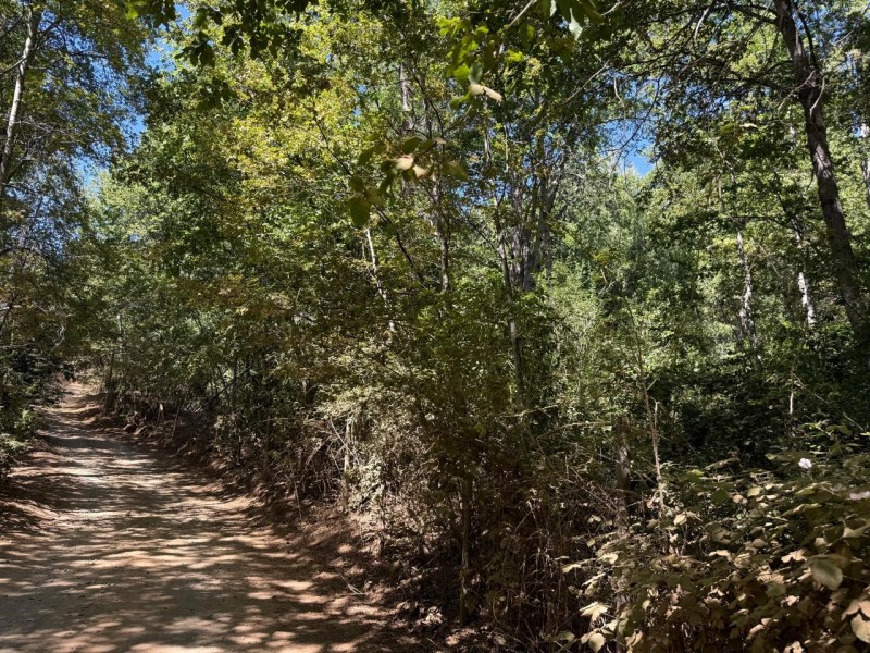 Se Vende Parcela de Agrado 5.000 M2, en Vilches Alto