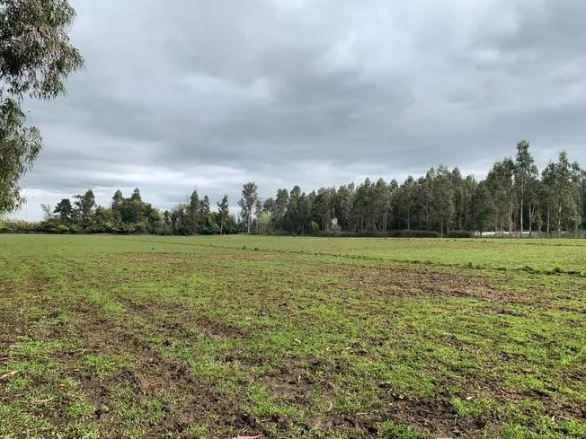 Se Vende Parcela Agrícola 3,59 Ha en la Comuna de Pelarco