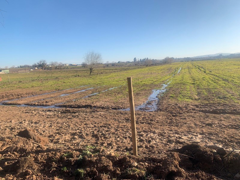 Se Vende Parcela Agrícola de 8 Hectáreas,pelarco