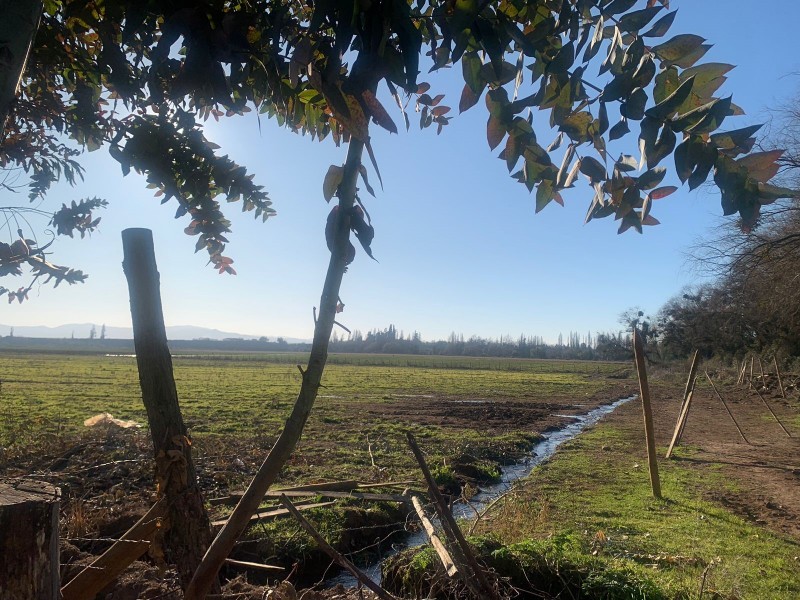Fotografía de Se Vende Parcela Agrícola de 8 Hectáreas,pelarco