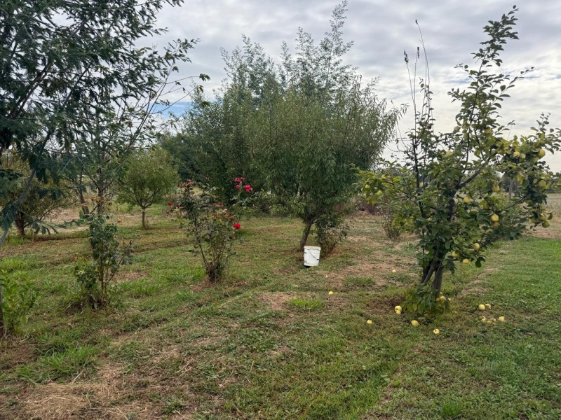 Se Vende Parcela 7.430 M2 Con Casa en Pelarco