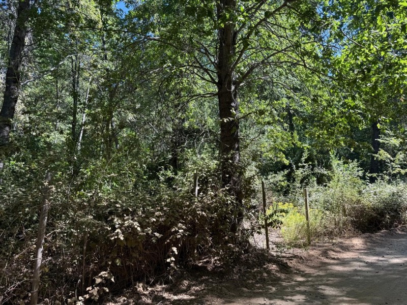 Se Vende Parcela de Agrado 5.000 M2, en Vilches Alto
