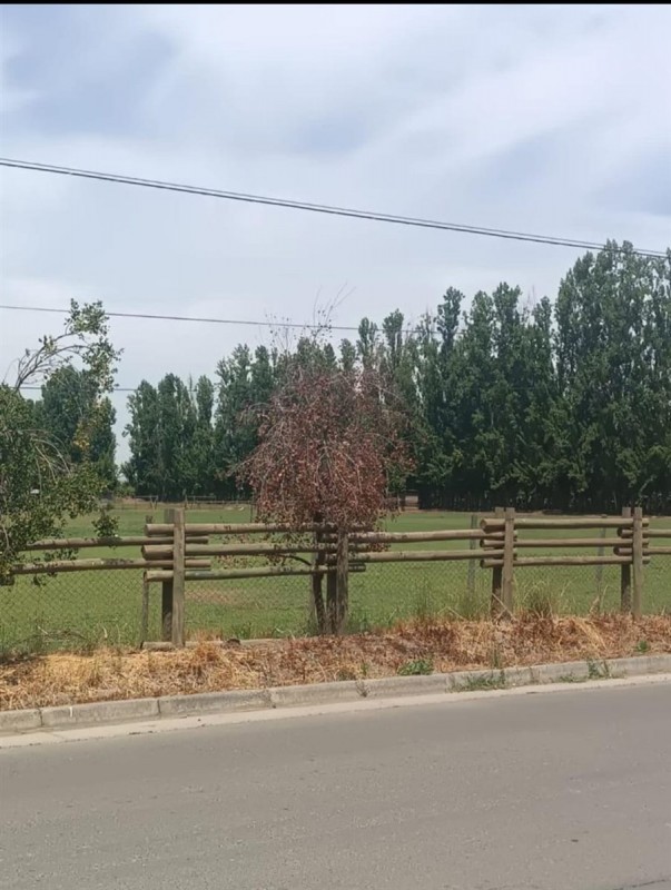 Hermosa Casa, 3 Dorm, 2 Baños, Parque del Sol, Talca