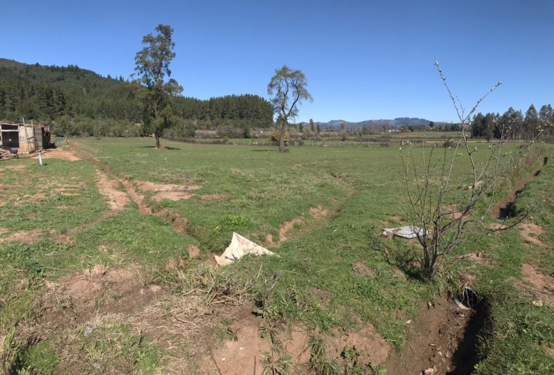 Se Vende Parcela 2.4 Ha., Con Casa 3D/1B,