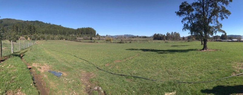 Se Vende Parcela Con Cabaña ,colonia Mariposas, San Clemente