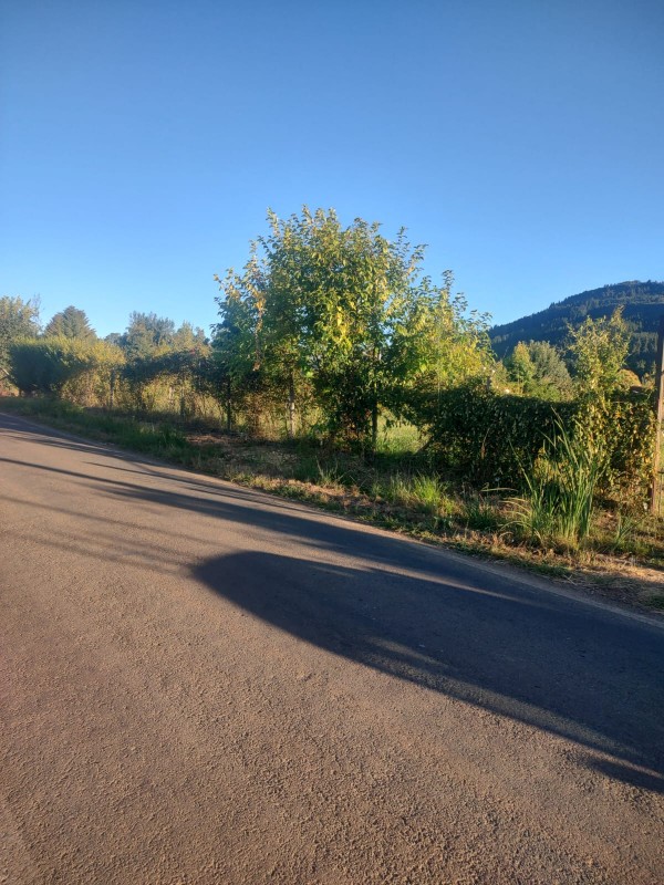 Se Vende Parcela 2,4 Ha. Con Cabaña, 3D /1B ,ruta K-595