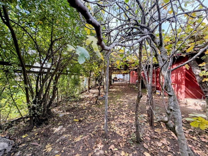 Parcela Con Dos Casas, Santa Rita, Pelarco