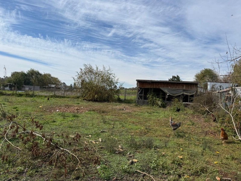 Parcela Con Dos Casas, Santa Rita, Pelarco