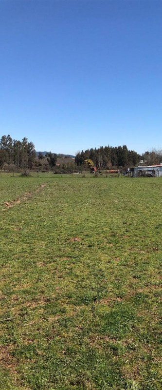 Se Vende Parcela 2.4 Ha., Con Casa 3D/1B,