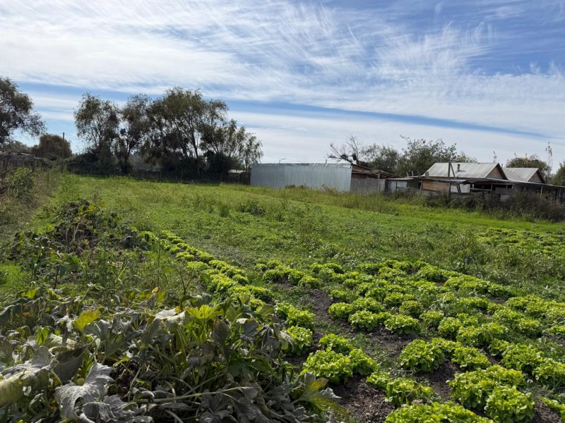 Parcela Con Dos Casas, Santa Rita, Pelarco
