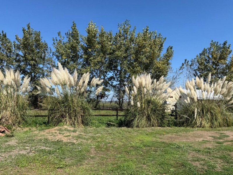 Se Vende Espectacular Casona Patronal en Parcela de 6.500 M²