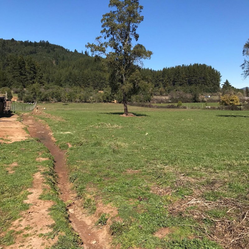 Se Vende Parcela Con Cabaña ,colonia Mariposas, San Clemente