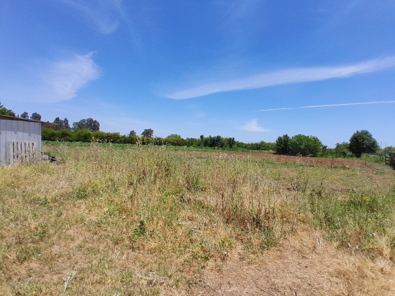 Parcela de 6800 M² Con Casa de 3 Dorm. 1 Baño