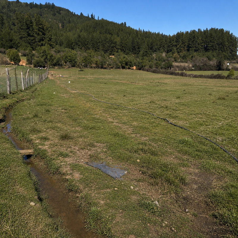 Se Vende Parcela 2.4 Ha., Con Casa 3D/1B,