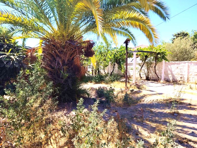 Terreno Con Casa, Venta Comercial