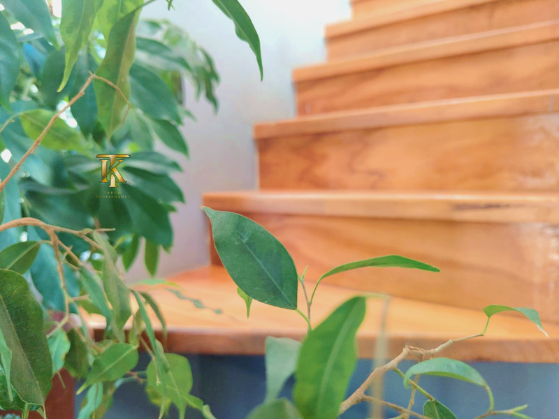 Cercano Av, Principal y Supermercados