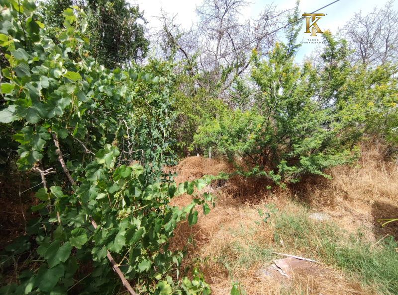Dos Parcelas Con Rol Distinto, para Proyectos.