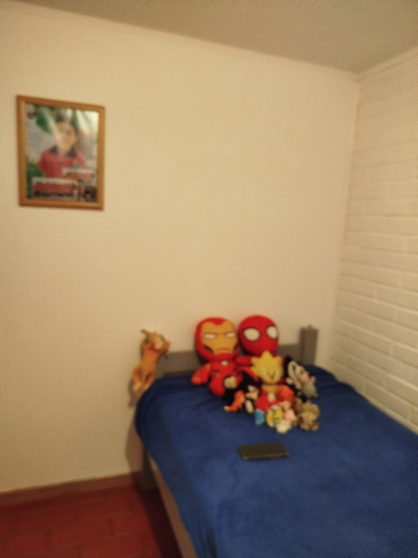 Venta Casa de un Piso Pehuen I