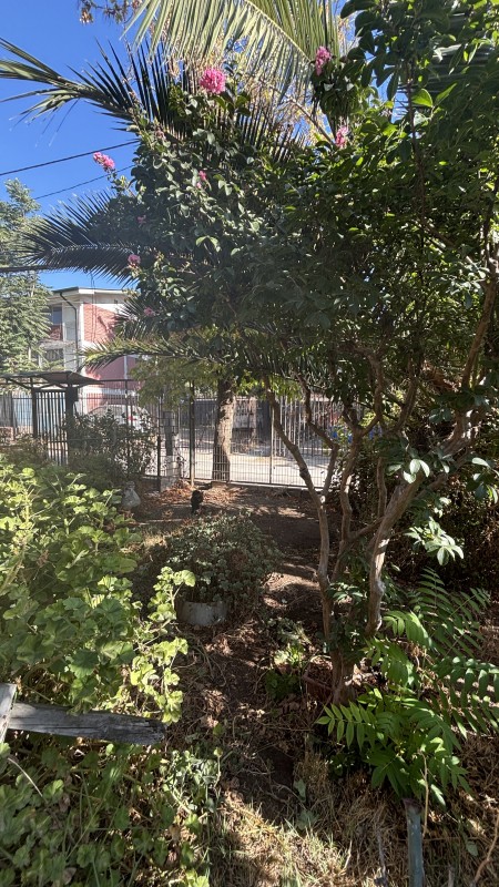 Se Vende Depto 2D+1B Macul - Oportunidad!