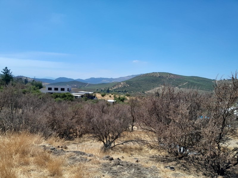 Se Vende Parcela en Pancahue