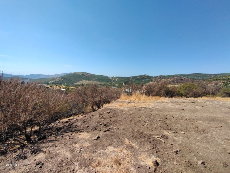 Se Vende Parcela en Pancahue