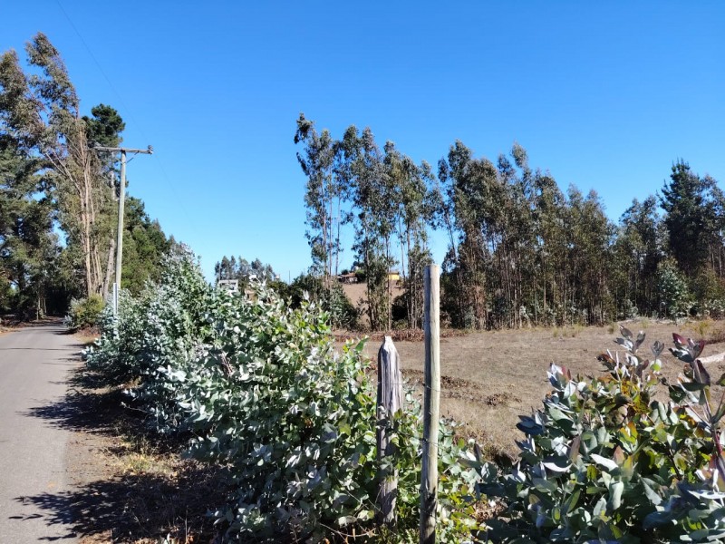 Gran Oportunidad, Terreno 71 Hectáreas