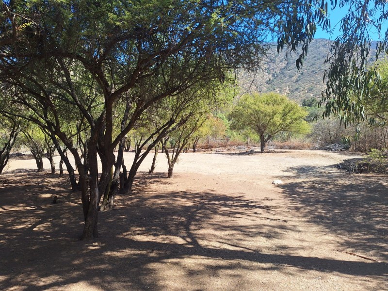 Exclusiva Parcela Con Casa de 6700M2!!!