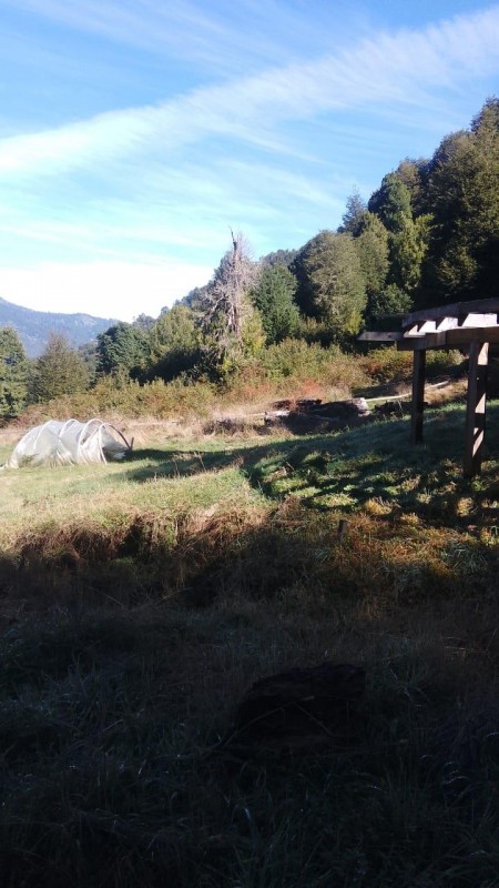 Se Vende Hermoso Campo de 17 Hectareás en Pucón
