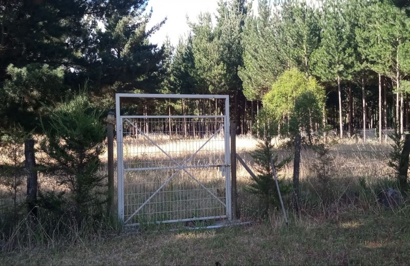 Venta-Hermosa Parcela 3D5B en los Angeles-Biobio