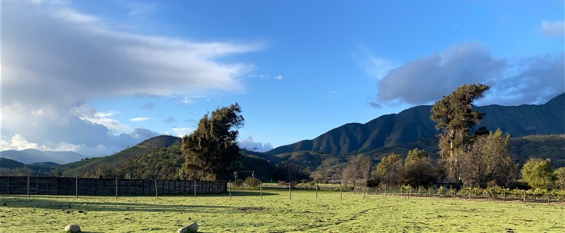 57,64 Hectareas, Casa 3D2B Sector Palmas de Ocoa