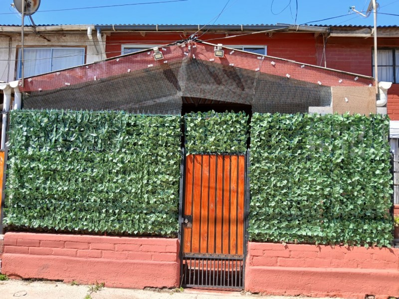 Foto 6