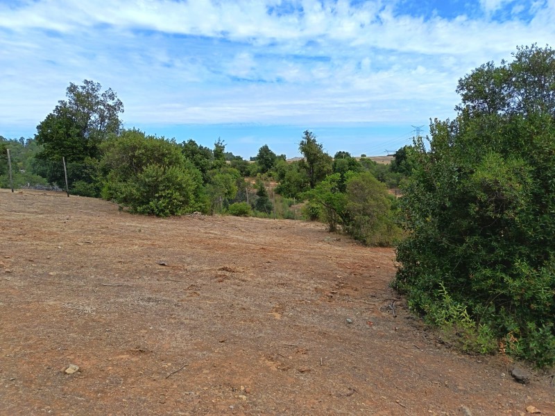 Parcela 5000M2 , en el Maule-Molina