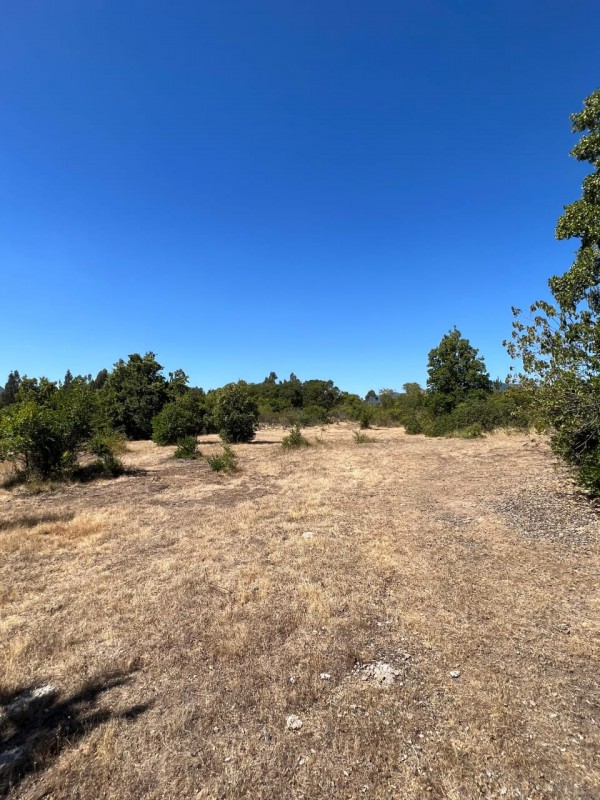 Gran Terreno 13086M2