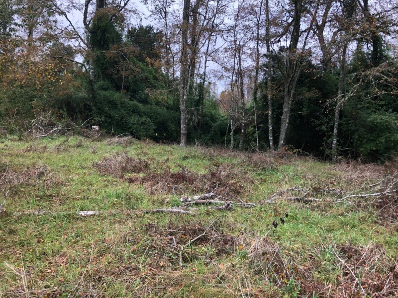 Parcela de 9.700M2 en Mafil