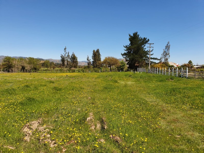 ¡¡oportunidad!!hermosa Parcela Con Casa en Pumanque
