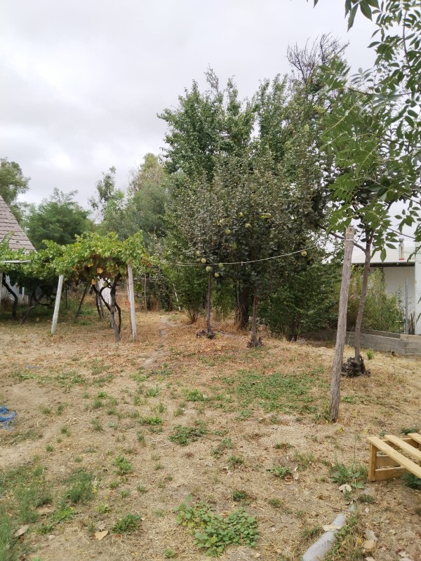 Gran Oportunidad , Hermosa Parcela 4500M2 Con 3 Casas!!!!