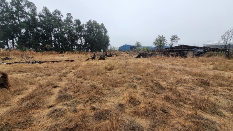 Oportunidad Gran Terreno de 1 Hectáera en la Pintana