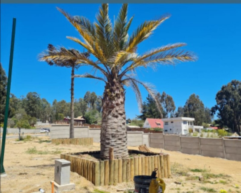 Vende Sitio Cond.reserva los Lobos