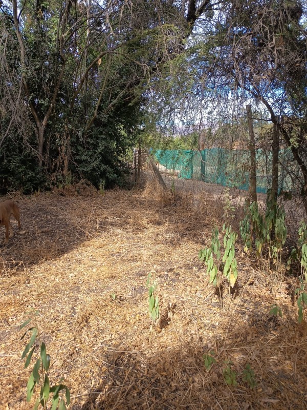 Parcela Con 5100M2 en Venta- Curacaví