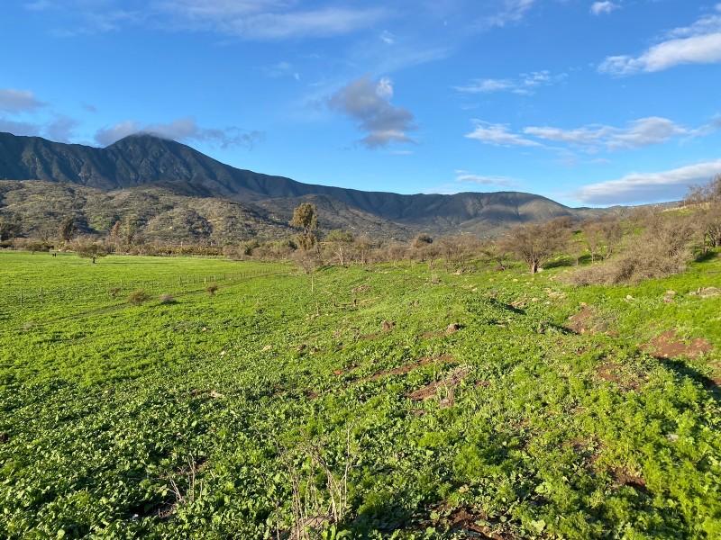 57,64 Hectareas, Casa 3D2B Sector Palmas de Ocoa