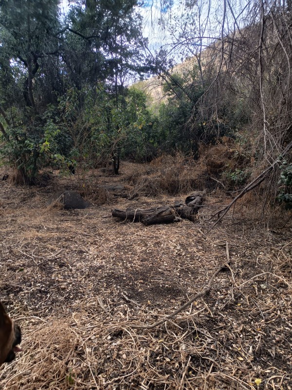 Parcela Con 5100M2 en Venta- Curacaví