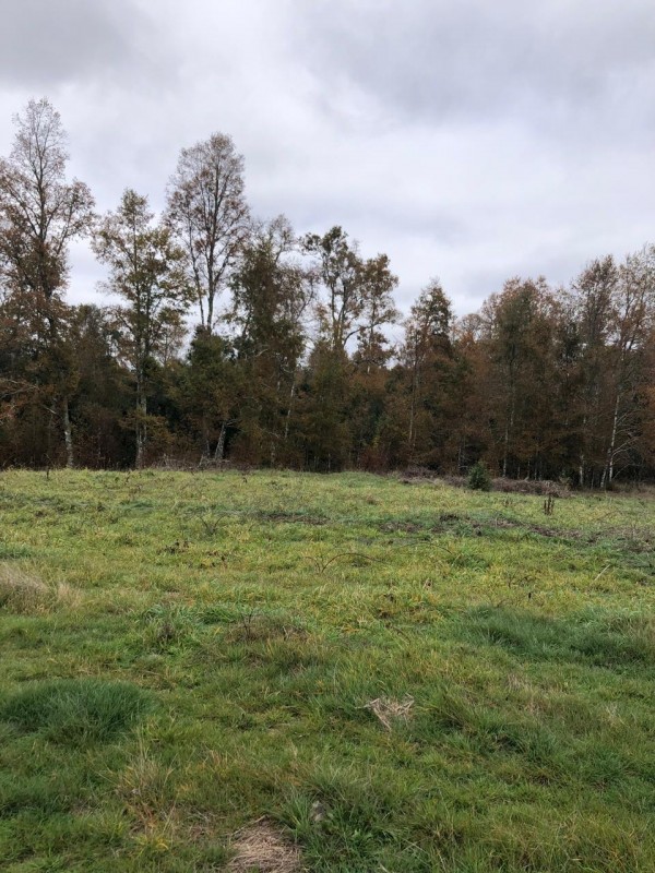 Parcela de 9.700M2 en Mafil