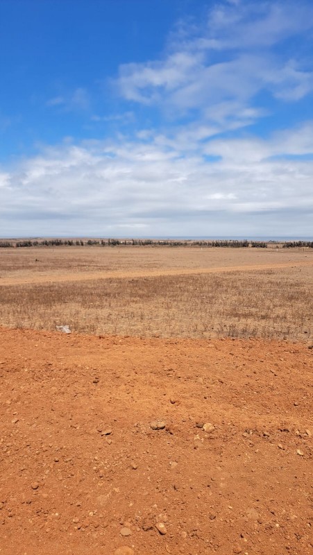 Gran Sitio en Venta , en Coquimbo-Canela!!!!!