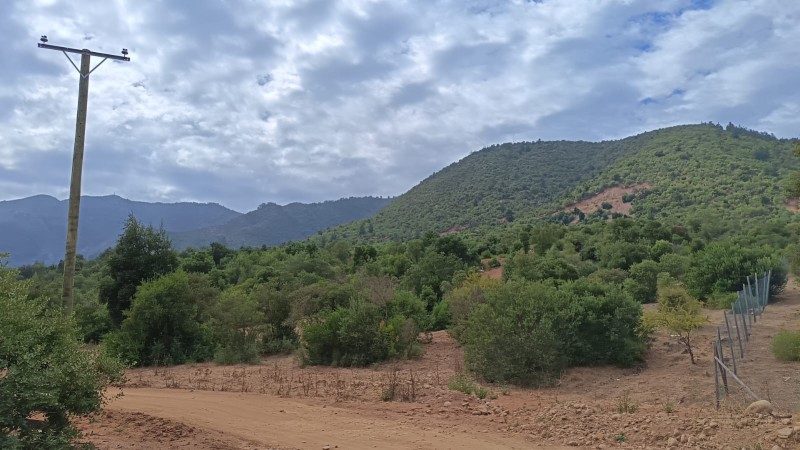 Parcela 5000M2 , en el Maule-Molina