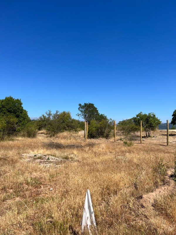 Gran Terreno 13086M2