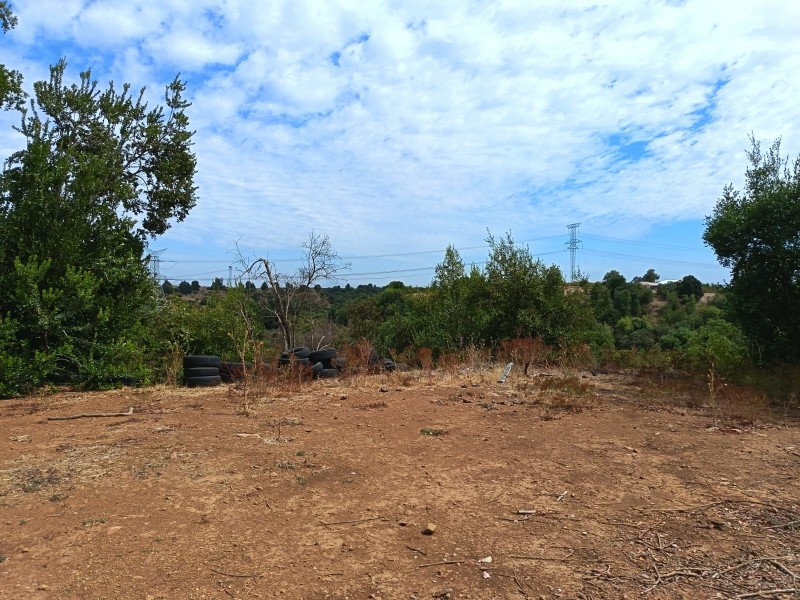 Parcela 5000M2 , en el Maule-Molina